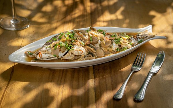 Entdecken Sie die besten staatlichen Förderungen für energieeffiziente Neubauten!